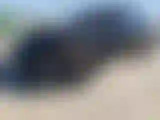 Vehicle Image- 2023 Chevrolet Bolt