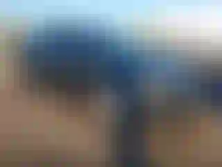 Vehicle Image- 2014 Chevrolet Sonic