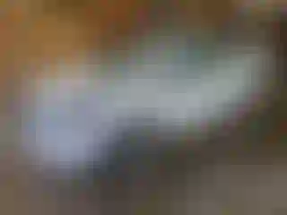 Vehicle Image- 2014 Chevrolet Sonic