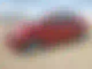 Vehicle Image- 2013 Chevrolet Sonic