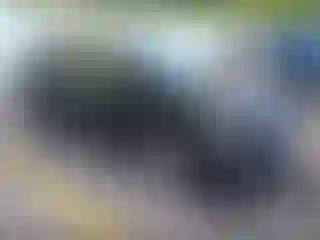 Vehicle Image- 2012 Chevrolet Sonic