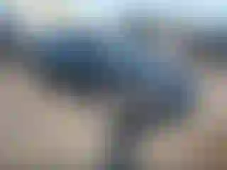 Vehicle Image- 2018 Chevrolet Sonic