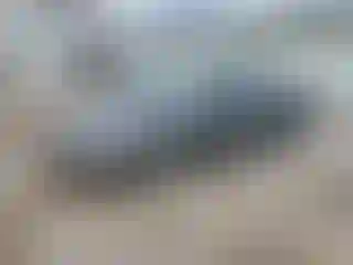 Vehicle Image- 2005 Chevrolet Malibu