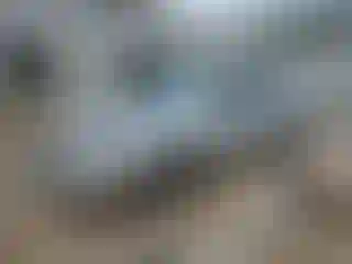 Vehicle Image- 2004 Chevrolet Malibu