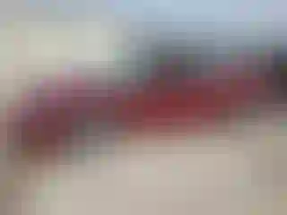 Vehicle Image- 2004 Chevrolet Malibu