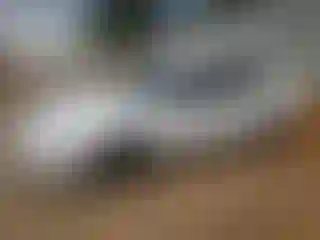 Vehicle Image- 2004 Chevrolet Malibu
