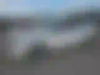 Vehicle Image- 2005 Chevrolet Malibu