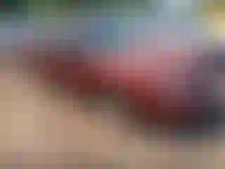 Vehicle Image- 2003 Chevrolet Malibu