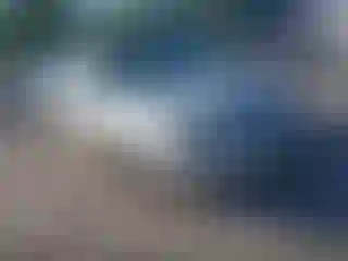 Vehicle Image- 2002 Chevrolet Malibu