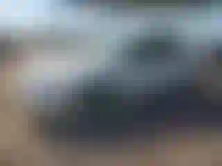 Vehicle Image- 2002 Chevrolet Malibu