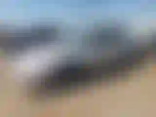 Vehicle Image- 2003 Chevrolet Malibu
