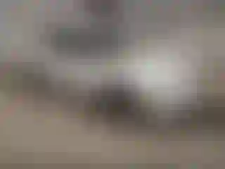 Vehicle Image- 2000 Chevrolet Malibu