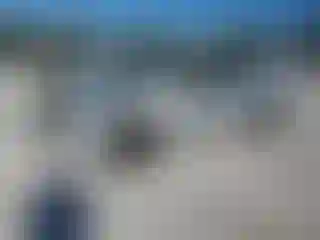 Vehicle Image- 2002 Chevrolet Malibu