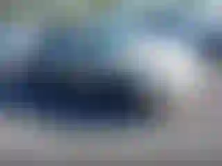 Vehicle Image- 2003 Chevrolet Malibu