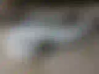 Vehicle Image- 2000 Chevrolet Malibu