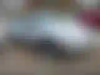 Vehicle Image- 2002 Chevrolet Malibu