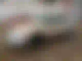 Vehicle Image- 2003 Chevrolet Malibu
