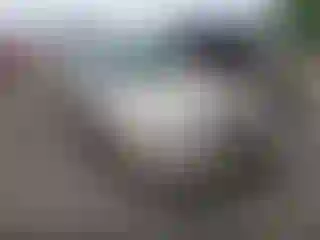 Vehicle Image- 2003 Chevrolet Malibu