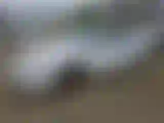 Vehicle Image- 2002 Chevrolet Malibu