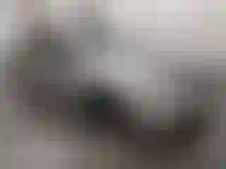 Vehicle Image- 2001 Chevrolet Malibu