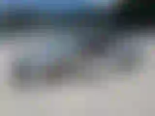 Vehicle Image- 2003 Chevrolet Malibu