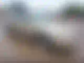 Vehicle Image- 2003 Chevrolet Malibu