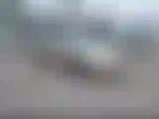 Vehicle Image- 2001 Chevrolet Malibu