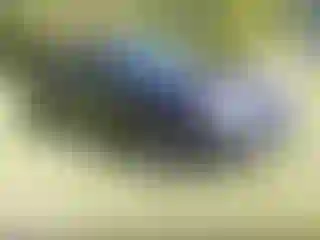 Vehicle Image- 2016 Chevrolet Cruze