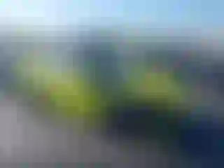 Vehicle Image- 2023 Chevrolet Corvette