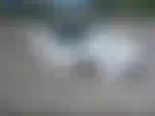 Vehicle Image- 2019 Chevrolet Corvette