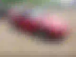 Vehicle Image- 1986 Chevrolet Corvette