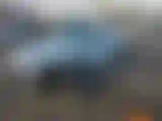 Vehicle Image- 2001 Chevrolet Corvette