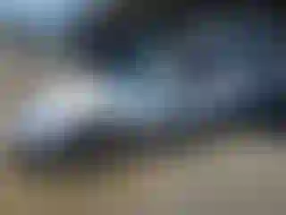 Vehicle Image- 2001 Chevrolet Corvette