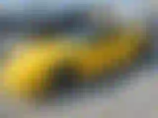 Vehicle Image- 2002 Chevrolet Corvette