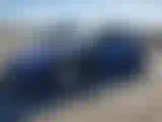 Vehicle Image- 2002 Chevrolet Corvette