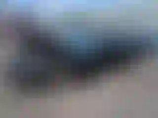 Vehicle Image- 2004 Chevrolet Corvette