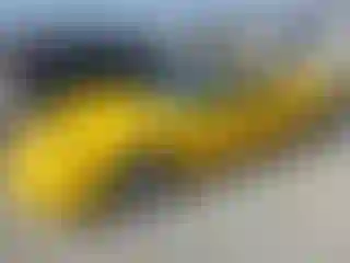 Vehicle Image- 2003 Chevrolet Corvette