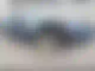 Vehicle Image- 2000 Chevrolet Corvette