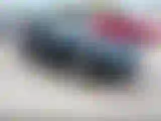 Vehicle Image- 1995 Chevrolet Corvette