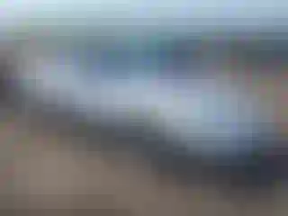 Vehicle Image- 1990 Chevrolet Corvette
