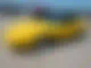 Vehicle Image- 1991 Chevrolet Corvette