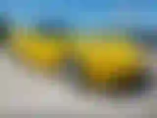 Vehicle Image- 2005 Chevrolet Corvette