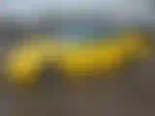 Vehicle Image- 2003 Chevrolet Corvette