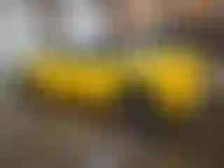 IMPORTOWO.pl