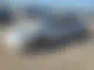 Vehicle Image- 2003 Chevrolet Corvette