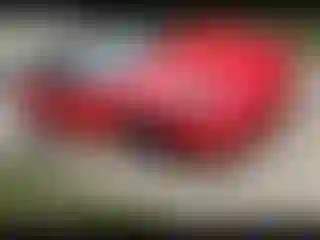 Vehicle Image- 2002 Chevrolet Corvette