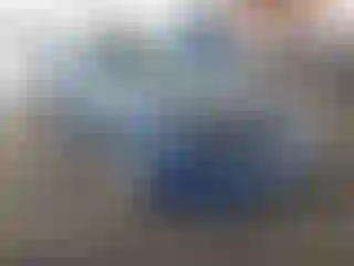 Vehicle Image- 2006 Chevrolet Corvette