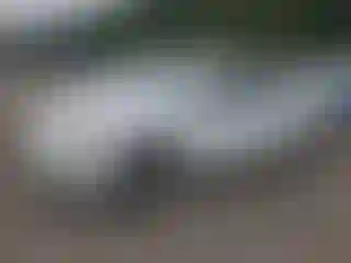 Vehicle Image- 2012 Chevrolet Malibu