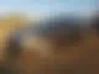 Vehicle Image- 2010 Chevrolet Malibu