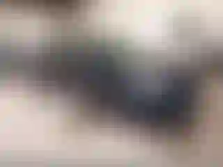 Vehicle Image- 2010 Chevrolet Malibu